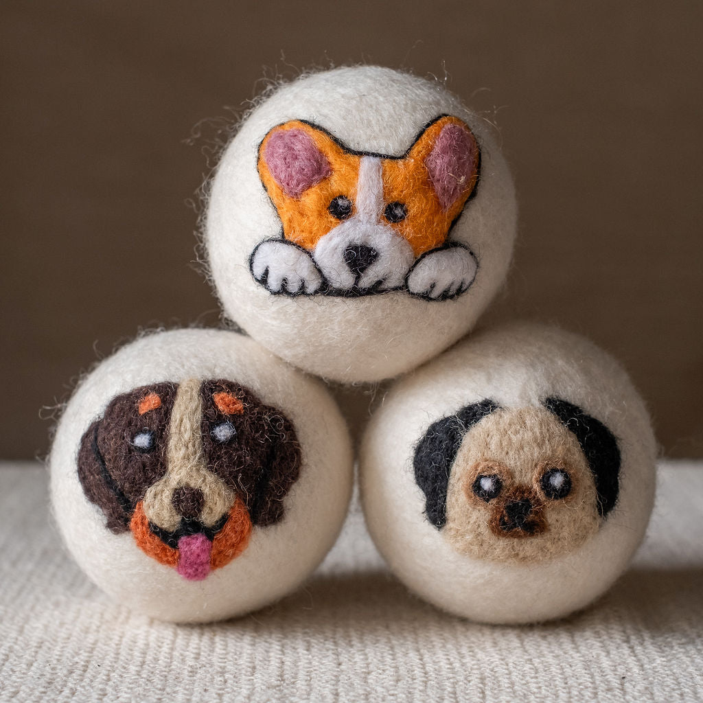 Dogs set wool dryer ball, studio photo