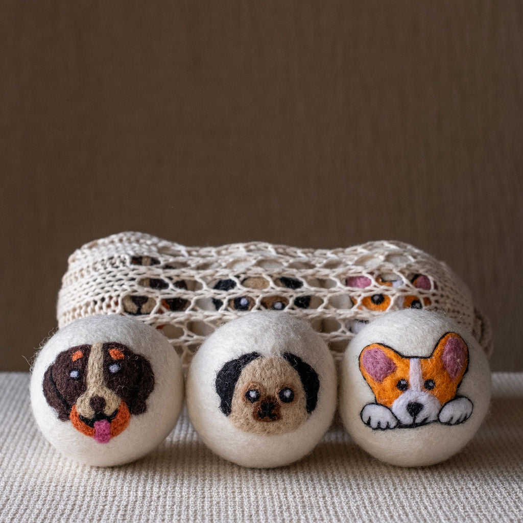 Dogs set wool dryer ball, theme photo