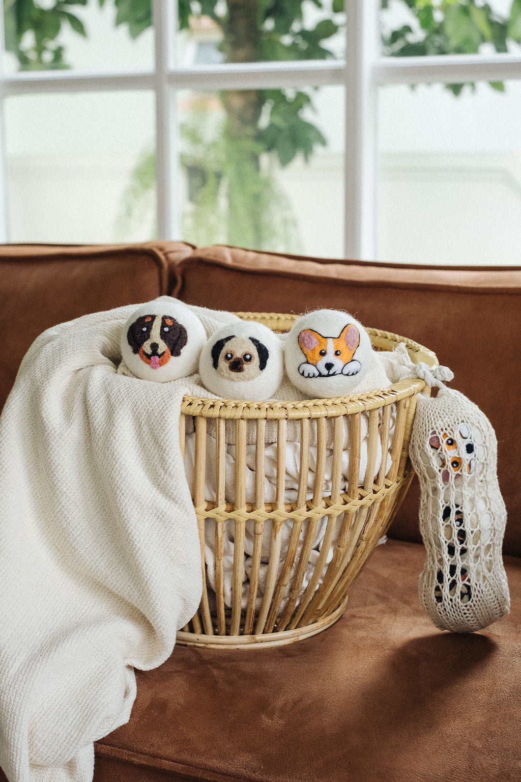 Dogs set wool dryer ball, theme photo