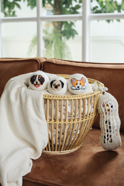 Dogs set wool dryer ball, theme photo