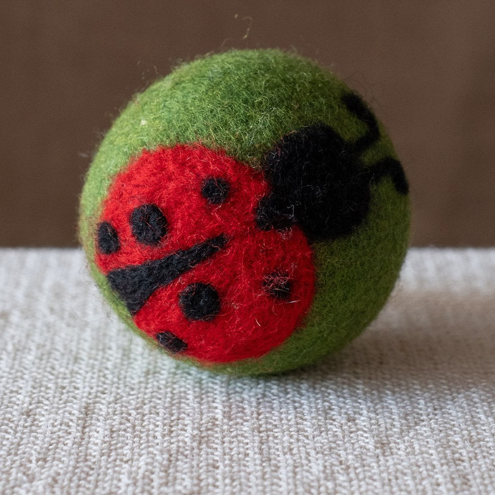 Lady Bug on Green Ball wool dryer ball, square crop